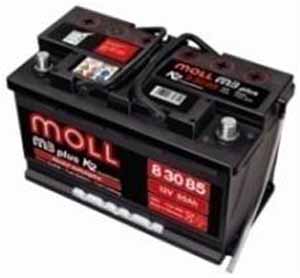 MollPLUS